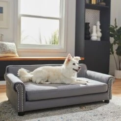 Frisco Sofa Pet Bed With Removable Cover & Frisco Eyelash Cat & Dog Blanket 13 Frisco Sofa Pet Bed With Removable Cover & Frisco Eyelash Cat & Dog Blanket -Pet Supply Store 319504 PT4. AC SS1800 V1630625195