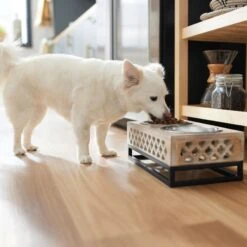 Frisco Premium Wood Elevated Stainless Steel Double Diner Dog & Cat Bowl, 3 Cup -Pet Supply Store 331507 PT2. AC SS1800 V1657656894