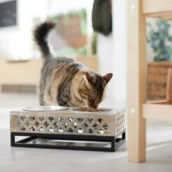 Frisco Premium Wood Elevated Stainless Steel Double Diner Dog & Cat Bowl, 3 Cup -Pet Supply Store 331507 PT3. AC SS1800 V1657656894