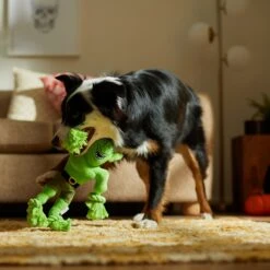 Frisco Halloween Goblin Plush With Rope Squeaky Dog Toy -Pet Supply Store 344132 PT3. AC SS1800 V1657657042