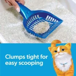 Fresh Step Febreze Freshness Gain Scented Clumping Clay Cat Litter -Pet Supply Store 346442 PT2. AC SS1800 V1694463360