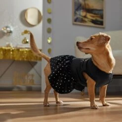 Frisco Kiss Me At Midnight Dog & Cat Dress 12 Frisco Kiss Me At Midnight Dog & Cat Dress -Pet Supply Store 358044 PT7. AC SS1800 V1661799831