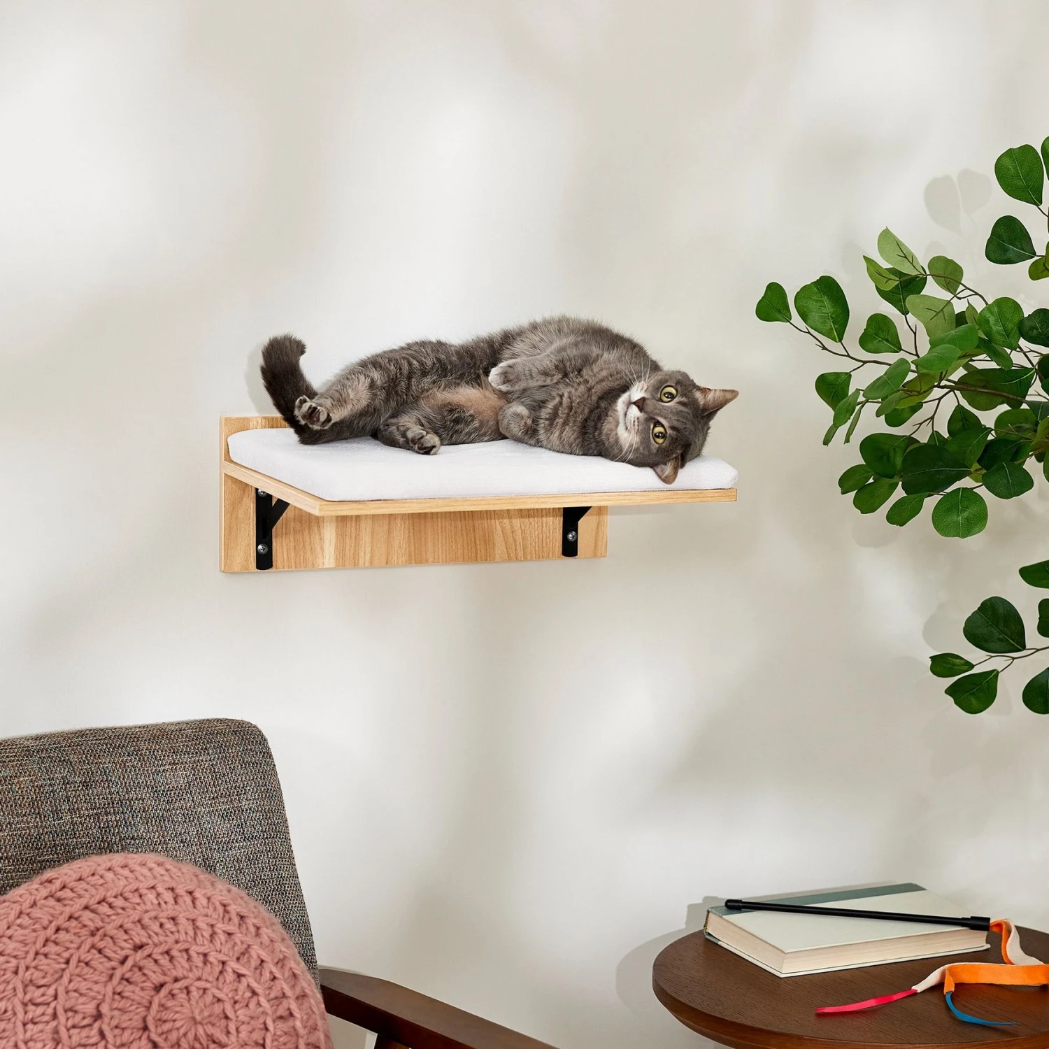 Frisco Cushioned Wall Mounted Cat Wall Shelf 1 Frisco Cushioned Wall Mounted Cat Wall Shelf