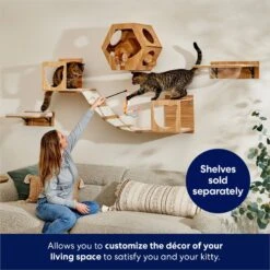 Frisco Hexagon Wall Mounted Cat Wall Shelf -Pet Supply Store 373445 PT3. AC SS1800 V1675692702