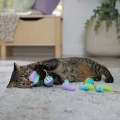 Frisco Fabric & Play Plastic Balls Cat Toy -Pet Supply Store 526030 PT3. AC SS1800 V1669148132