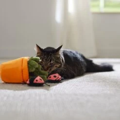 Frisco Spring Potted Plant And Ladybugs Interactive Plush Cat Toy With Catnip -Pet Supply Store 541542 PT3. AC SS1800 V1671814448