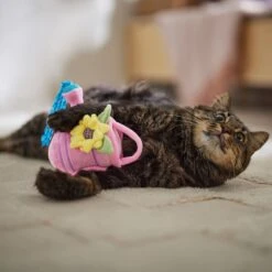 Frisco Spring Watering Can Plush Cat Toy With Catnip 6 Frisco Spring Watering Can Plush Cat Toy With Catnip -Pet Supply Store 541558 PT3. AC SS1800 V1671814448