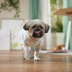 Frisco Vintage Tropical Dog & Cat Pocket T-Shirt -Pet Supply Store 556598 PT5. AC SS1800 V1675101997