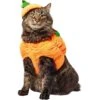 Frisco Pumpkin Ball Dog & Cat Costume
