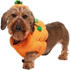 Frisco Pumpkin Ball Dog & Cat Costume -Pet Supply Store 708902 PT2. AC SS1800 V1689351041