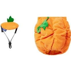 Frisco Pumpkin Ball Dog & Cat Costume -Pet Supply Store 708902 PT4. AC SS1800 V1689342202