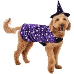 Pet Supply Store 14 Frisco Cosmic Witch Dog & Cat Costume