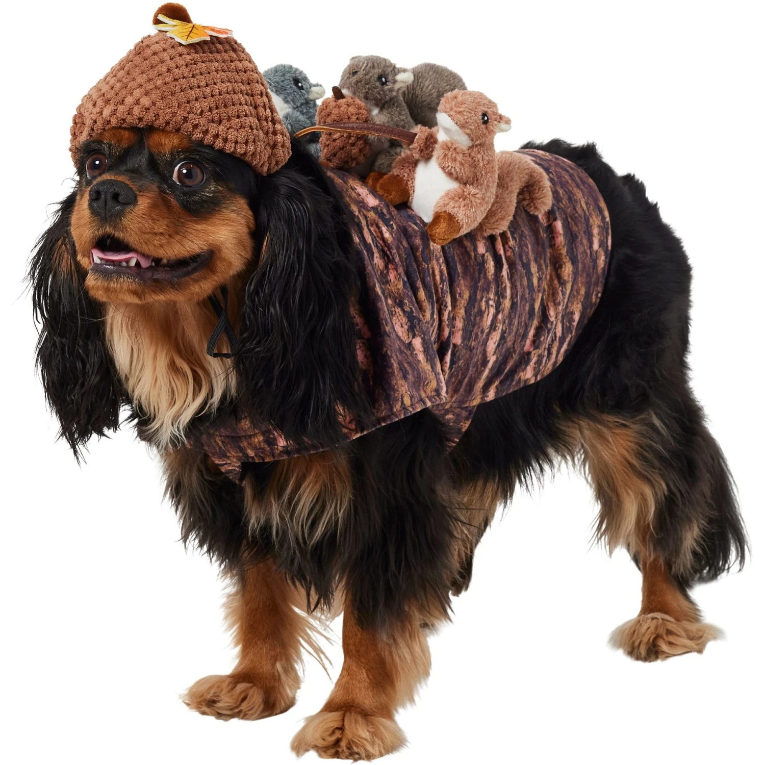 Frisco Squirrels & Nuts Ride-On Dog & Cat Costume 1 Frisco Squirrels & Nuts Ride-On Dog & Cat Costume
