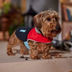 Frisco Medium Weight Retro Colorblock Mixed Media Dog & Cat Coat 16 Frisco Medium Weight Retro Colorblock Mixed Media Dog & Cat Coat -Pet Supply Store 719462 PT7. AC SS1800 V1692379031