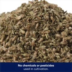 Frisco Natural Catnip & Hartz Cattraction Silver Vine & Catnip Gator Cat Scratcher Toy, Color Varies 12 Frisco Natural Catnip & Hartz Cattraction Silver Vine & Catnip Gator Cat Scratcher Toy, Color Varies -Pet Supply Store 737470 PT3. AC SS1800 V1683212146