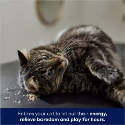 Frisco Natural Catnip & Hartz Cattraction Silver Vine & Catnip Gator Cat Scratcher Toy, Color Varies 13 Frisco Natural Catnip & Hartz Cattraction Silver Vine & Catnip Gator Cat Scratcher Toy, Color Varies -Pet Supply Store 737470 PT4. AC SS1800 V1683212147