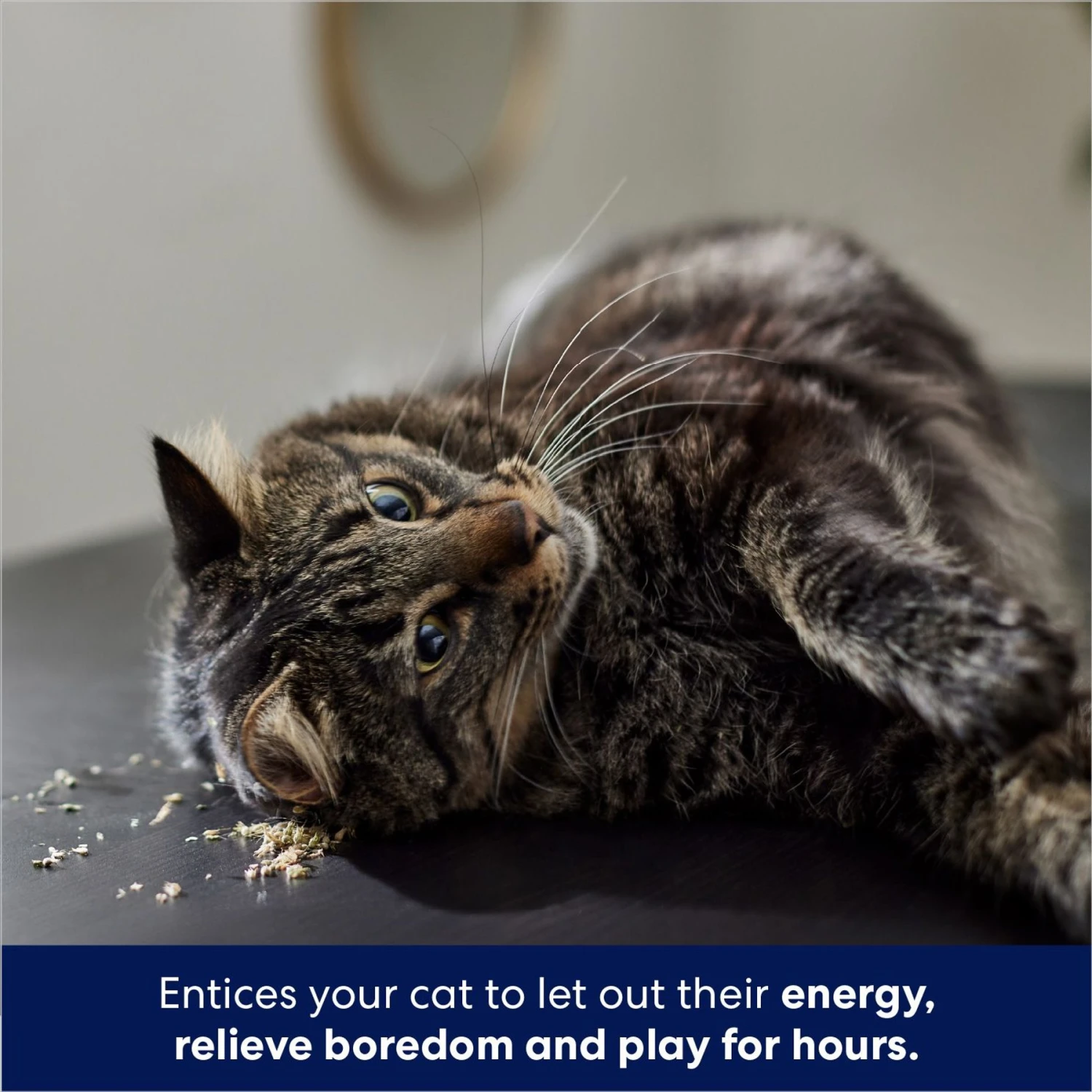 Frisco Natural Catnip & Hartz Cattraction Silver Vine & Catnip Gator Cat Scratcher Toy, Color Varies 5 Frisco Natural Catnip & Hartz Cattraction Silver Vine & Catnip Gator Cat Scratcher Toy, Color Varies - Image 5