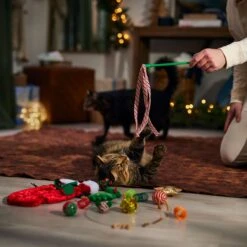 Frisco Holiday Cozy Christmas Sack Variety Pack Cat Toy With Catnip 8 Frisco Holiday Cozy Christmas Sack Variety Pack Cat Toy With Catnip -Pet Supply Store 740054 PT3. AC SS1800 V1694812461