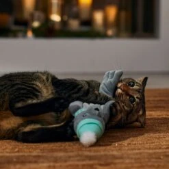 Frisco Holiday Interactive Flopping Seal Electronic Cat Toy With Catnip -Pet Supply Store 740102 PT4. AC SS1800 V1695043876