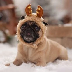 Frisco Sherpa Reindeer Dog & Cat Hat With Bells -Pet Supply Store 745646 PT5. AC SS1800 V1694795597