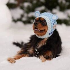 Frisco Nordic Ears Sweater Knit Dog & Cat Hat 12 Frisco Nordic Ears Sweater Knit Dog & Cat Hat -Pet Supply Store 745710 PT5. AC SS1800 V1695671059