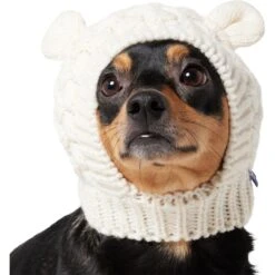 Frisco Polar Bear Sweater Knit Dog & Cat Hat -Pet Supply Store 745742 PT2. AC SS1800 V1694793756