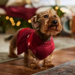 Frisco Nordic Sequin Dog & Cat Sweater Dress -Pet Supply Store 745886 PT7. AC SS1800 V1694793874