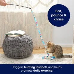 Frisco Fabric Teaser Wand Cat Toy & Frisco Bird With Feathers Teaser Wand Cat Toy With Catnip -Pet Supply Store 962094 PT3. AC SS1800 V1694782977