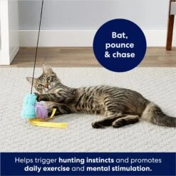 Frisco Fabric Teaser Wand Cat Toy & Frisco Bird With Feathers Teaser Wand Cat Toy With Catnip -Pet Supply Store 962094 PT8. AC SS1800 V1694782976